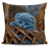 Blue Russian Kitten Watercolor - Pillow Cover