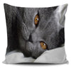Russian Blue Cat - Pillow Cover