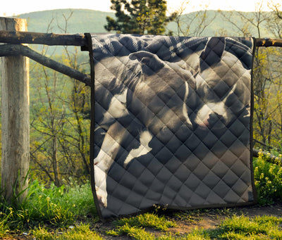 Pitbull Advisory Snuggle Monster Premium Quilt