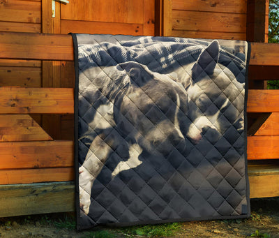 Pitbull Advisory Snuggle Monster Premium Quilt